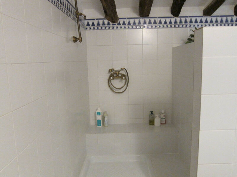 Finca - Cortijo Cómpeta Málaga - imagen 4