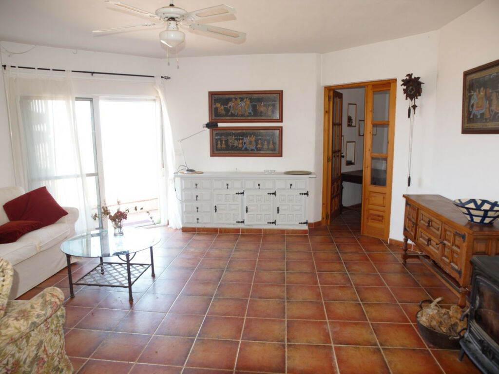 Detached Villa Canillas de Aceituno Málaga - imagen 4