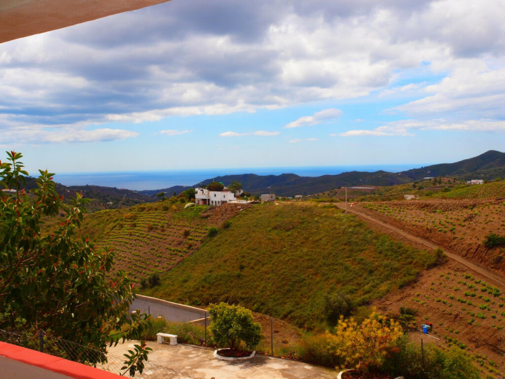 Finca - Cortijo Iznate Málaga - imagen 4