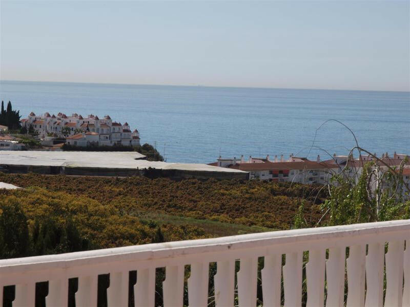 Detached Villa Mezquitilla Málaga - imagen 4