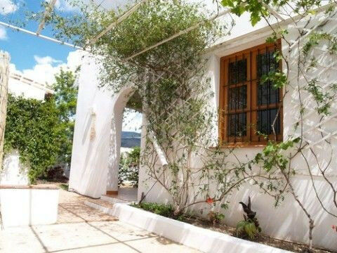 Detached Villa Riogordo Málaga - imagen 4