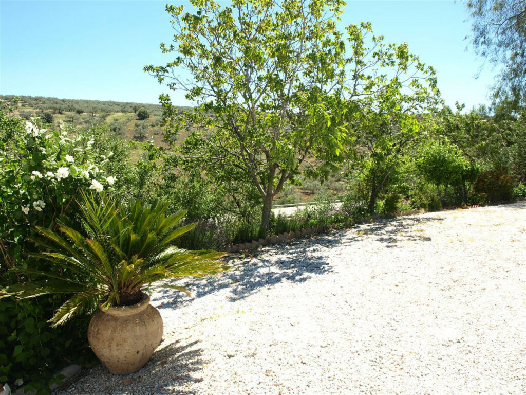 Finca - Cortijo Riogordo Málaga - imagen 4