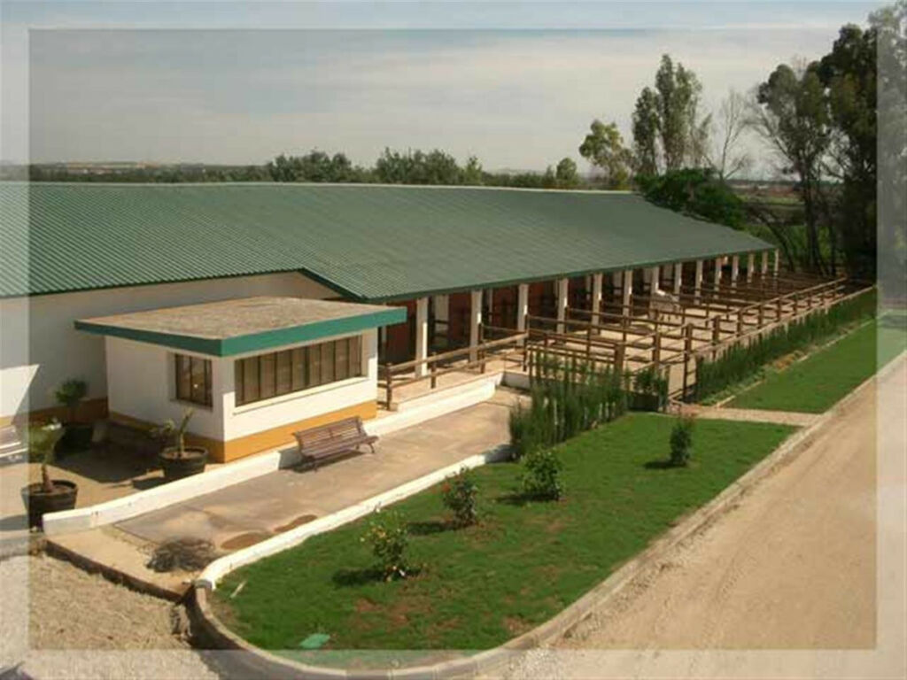 Finca - Cortijo Jerez de la Frontera Cádiz - imagen 4