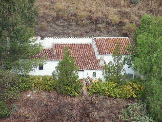 Finca - Cortijo Vélez-Málaga Málaga - imagen 40