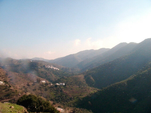 Finca - Cortijo Vélez-Málaga Málaga - imagen 41