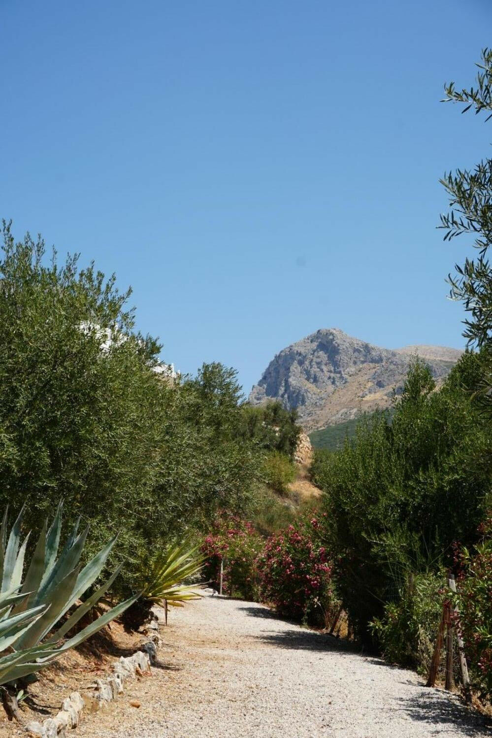 Detached Villa Alcaucín Málaga - imagen 44
