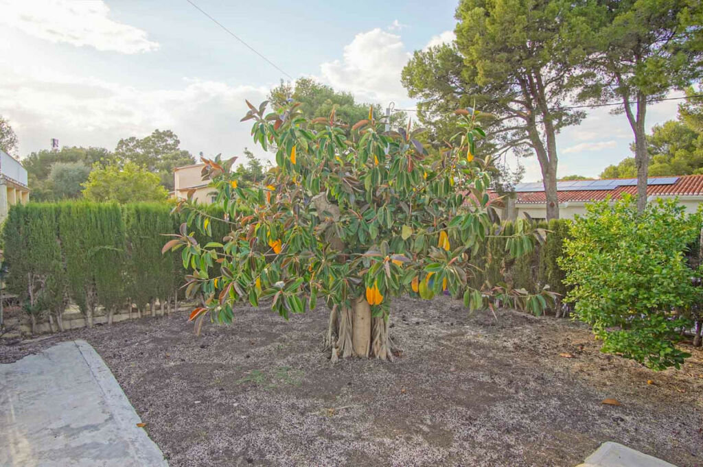 Detached Villa Denia Alicante - imagen 45