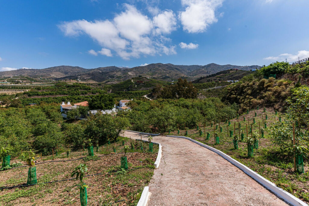 Finca - Cortijo Vélez-Málaga Málaga - imagen 45