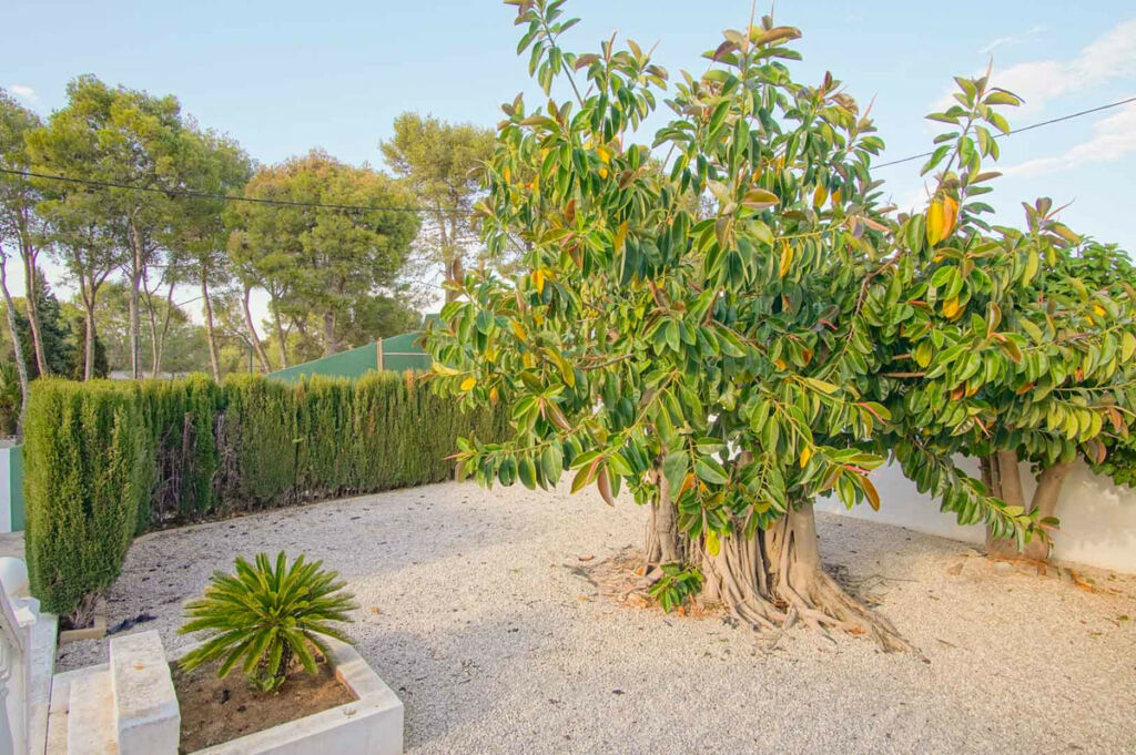 Detached Villa Denia Alicante - imagen 46