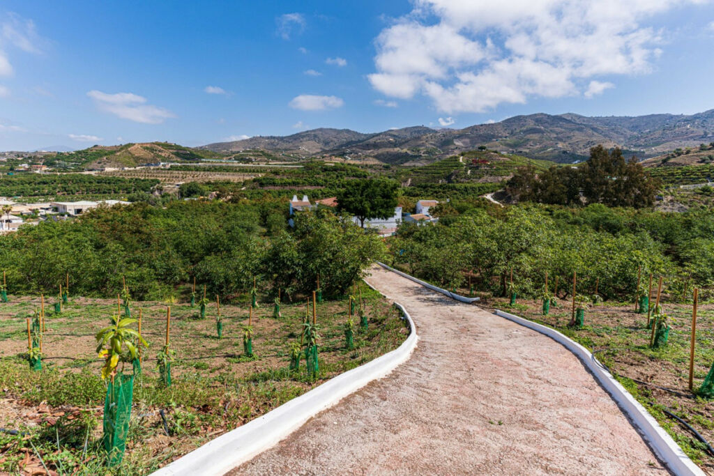 Finca - Cortijo Vélez-Málaga Málaga - imagen 46