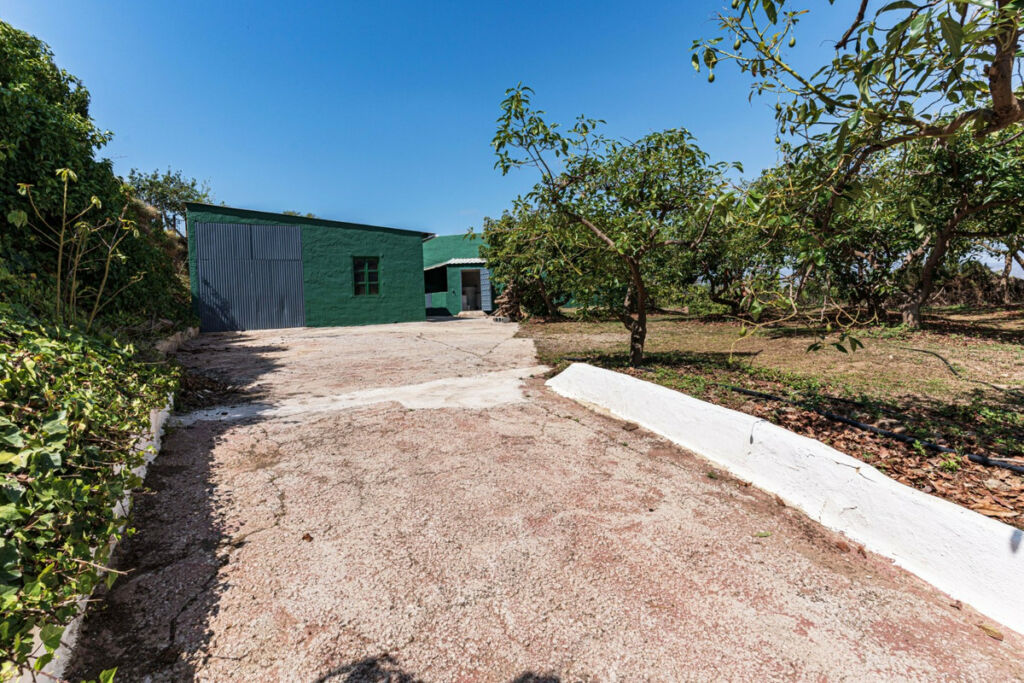Finca - Cortijo Vélez-Málaga Málaga - imagen 48