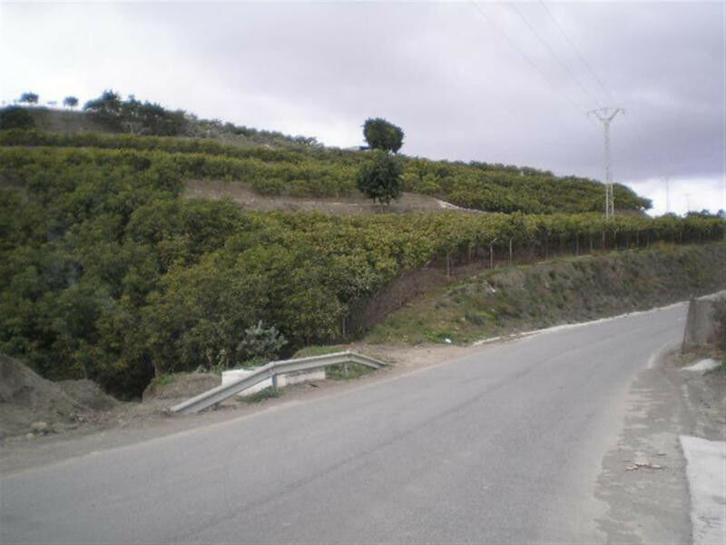 Land Vélez-Málaga Málaga - imagen 5