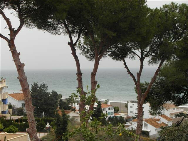 Detached Villa Benajarafe Málaga - imagen 5