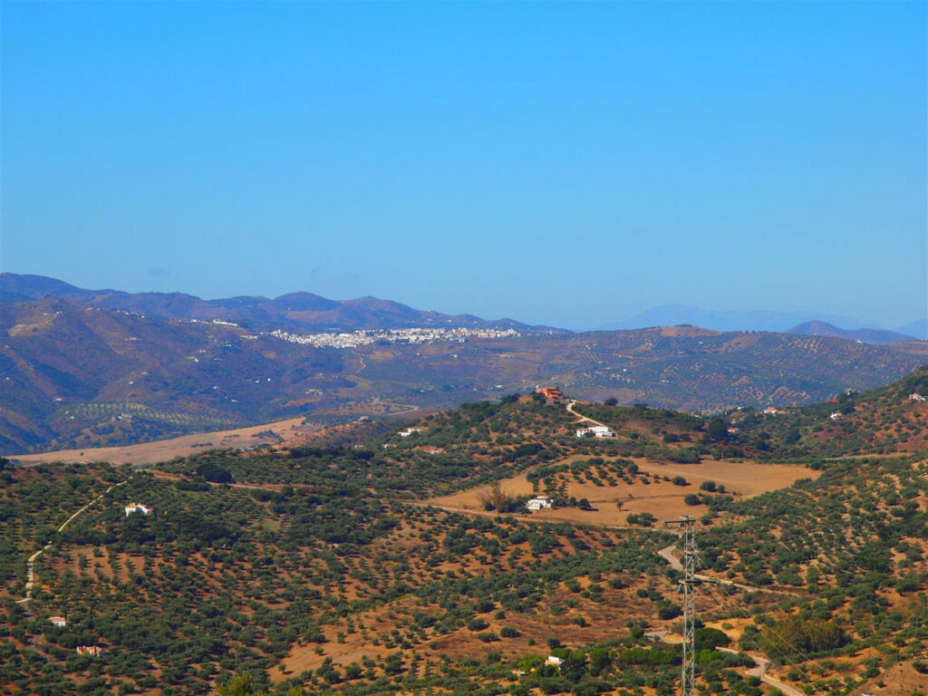 Finca - Cortijo Alfarnatejo Málaga - imagen 5