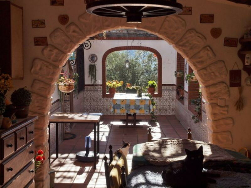 Detached Villa Alcaucín Málaga - image 5