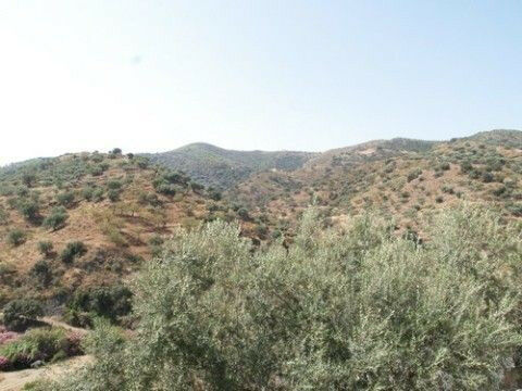 Detached Villa Arenas Málaga - imagen 5