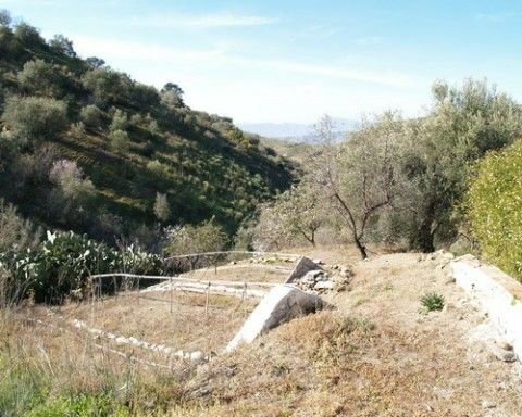 Finca - Cortijo Canillas de Aceituno Málaga - imagen 5