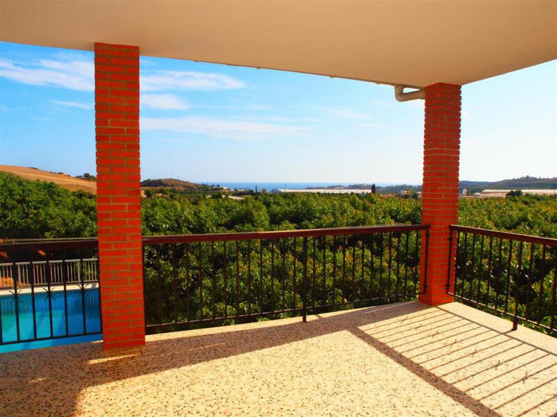 Finca - Cortijo Almayate Málaga - imagen 5