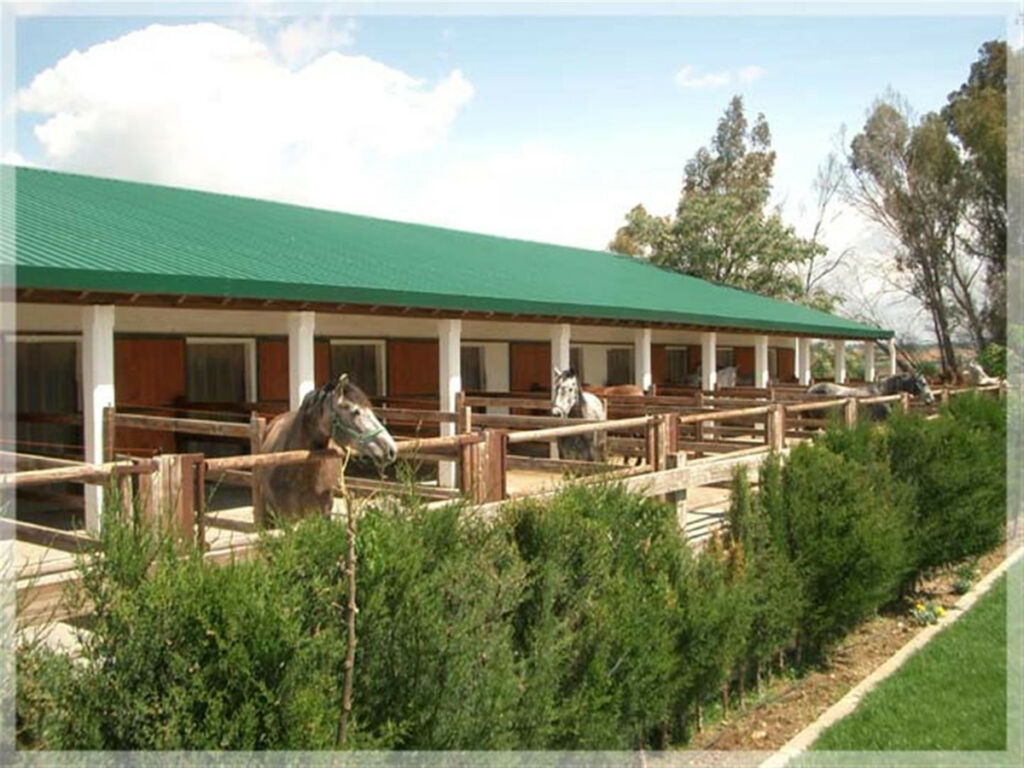 Finca - Cortijo Jerez de la Frontera Cádiz - imagen 5