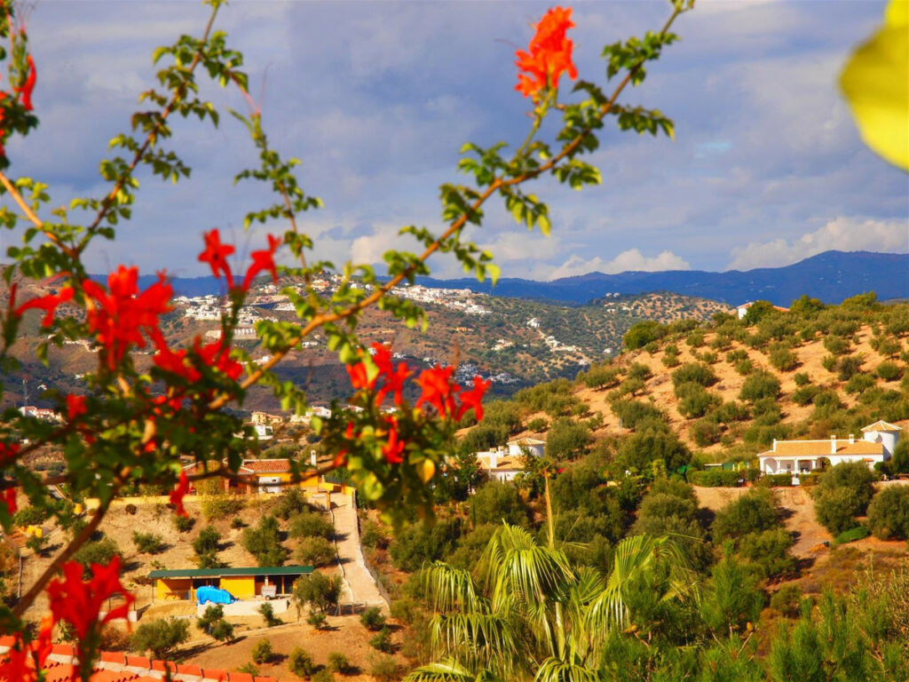 Finca - Cortijo Canillas de Aceituno Málaga - imagen 5