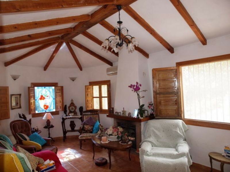 Detached Villa Alcaucín Málaga - image 5