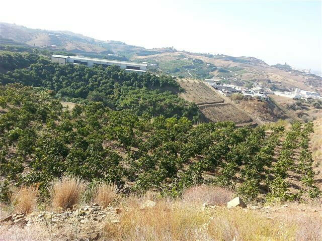 Land Arenas Málaga - imagen 5