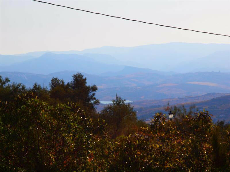 Finca - Cortijo Alcaucín Málaga - imagen 5