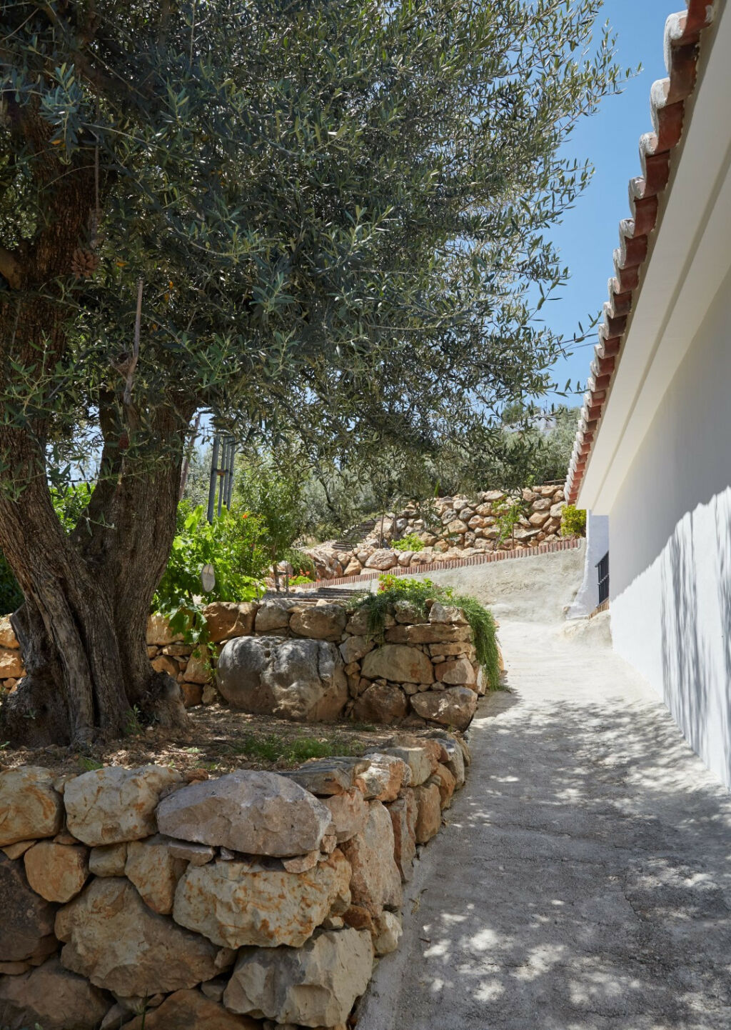 Finca - Cortijo Alcaucín Málaga - imagen 5