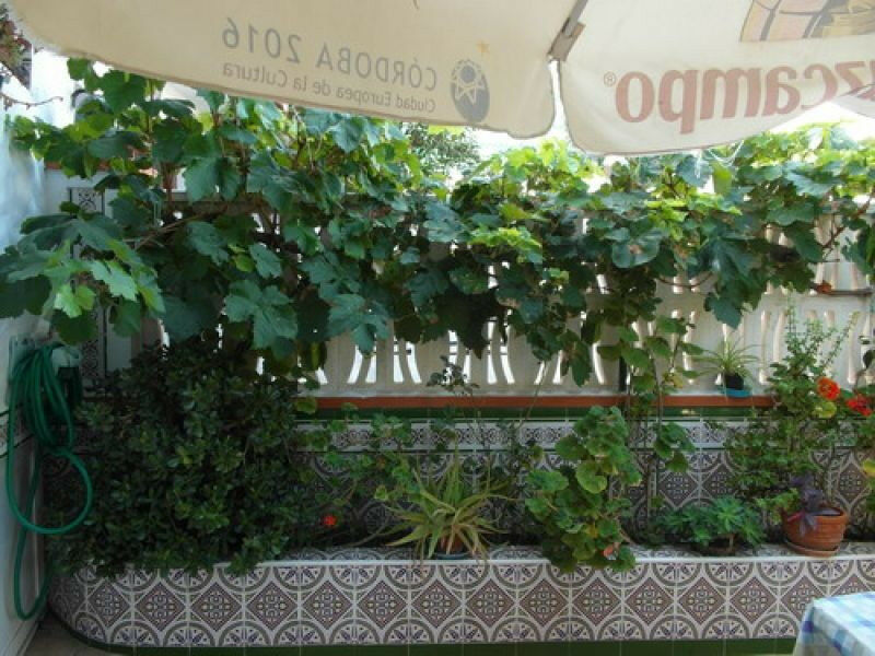 Ground Floor Apartment Benajarafe Málaga - imagen 5