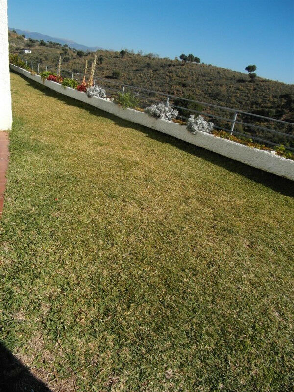 Townhouse Benajarafe Málaga - imagen 55