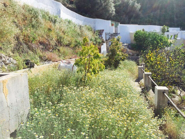 Detached Villa Nerja Málaga - imagen 58