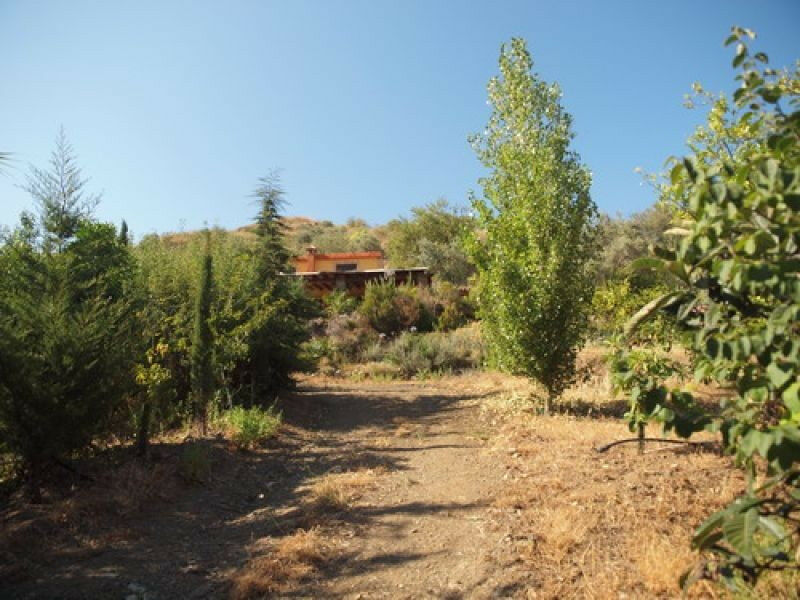 Detached Villa Benagalbon Málaga - Bild 6