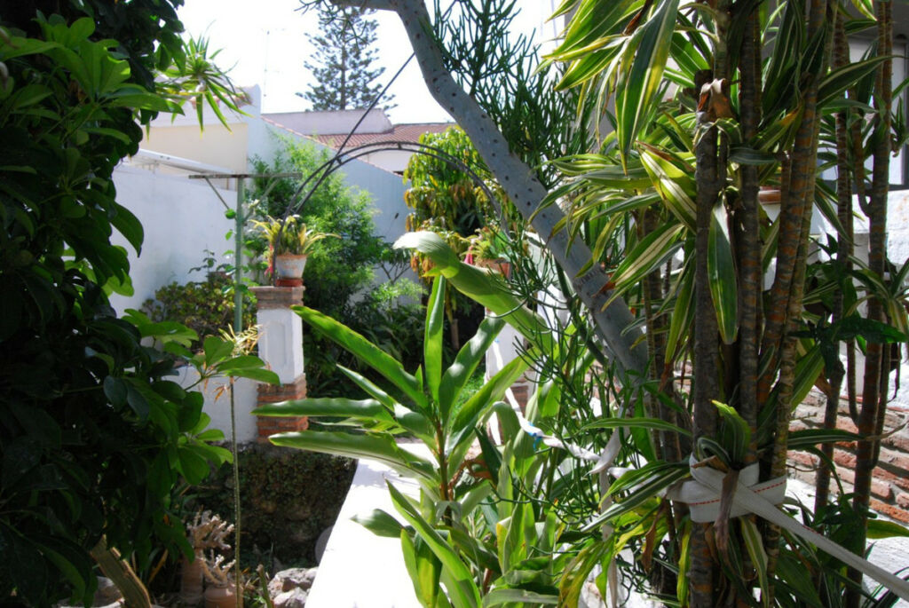 Detached Villa Nerja Málaga - Bild 6