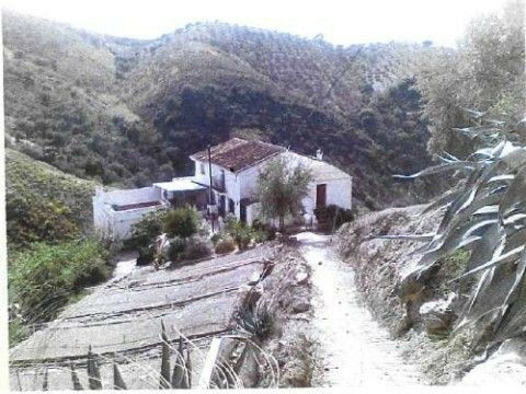 Detached Villa Los Romanes Málaga - imagen 6