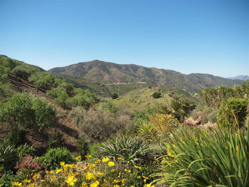 Finca - Cortijo Sedella Málaga - imagen 6