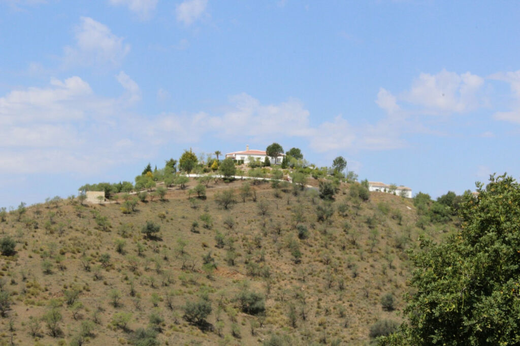 Finca - Cortijo Alcaucín Málaga - imagen 6
