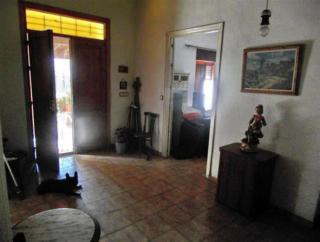 Finca - Cortijo Vélez-Málaga Málaga - imagen 6