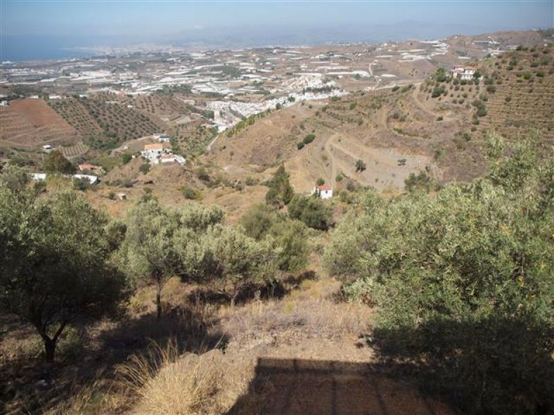 Finca - Cortijo Algarrobo Málaga - imagen 6