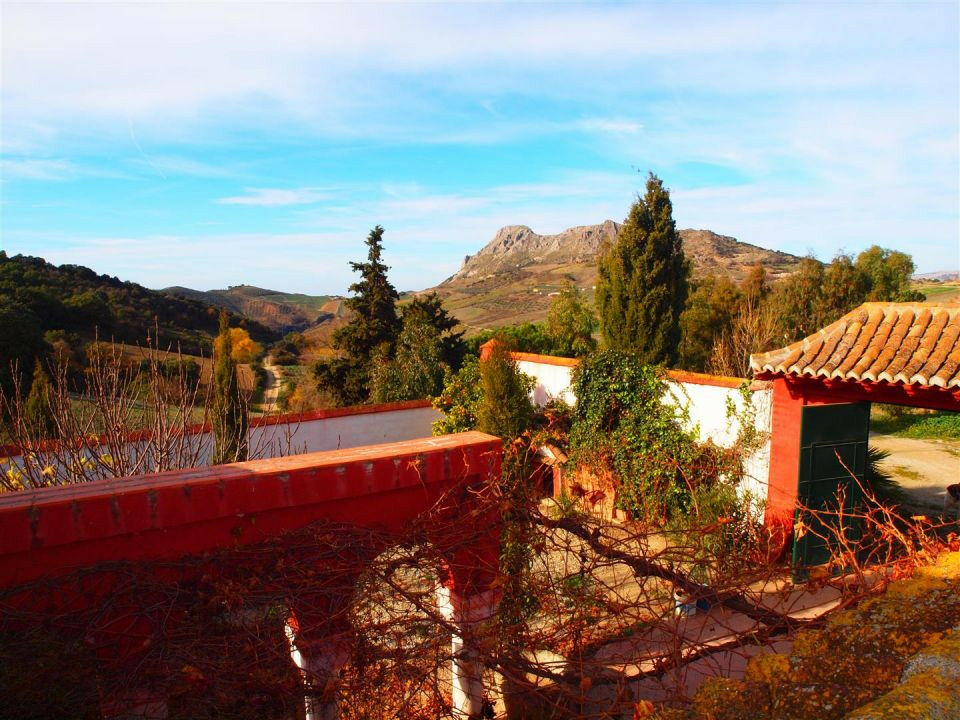 Finca - Cortijo Alcaucín Málaga - imagen 6