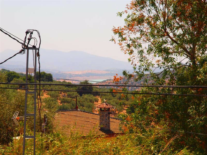 Finca - Cortijo Periana Málaga - imagen 6