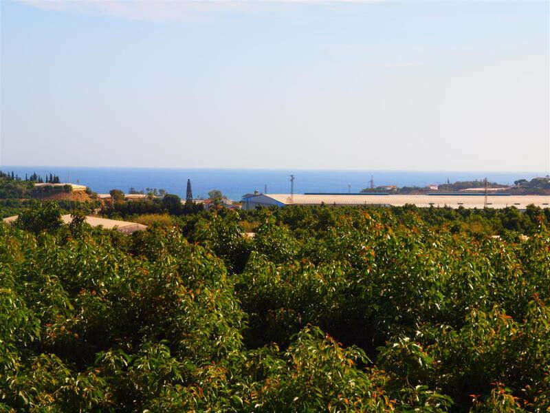 Finca - Cortijo Almayate Málaga - imagen 6