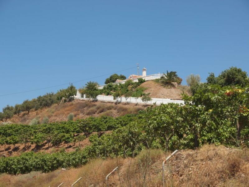 Detached Villa Benajarafe Málaga - Bild 6