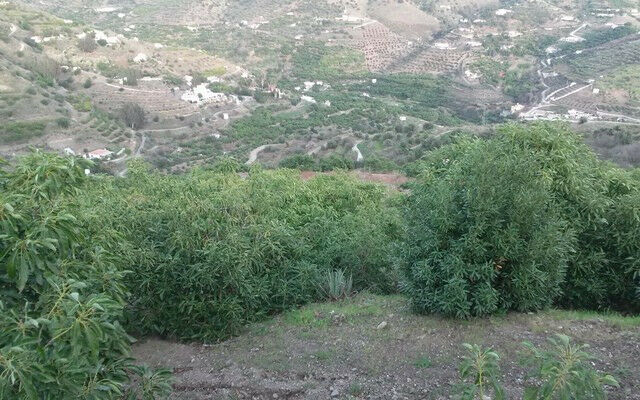 Finca - Cortijo Torrox Málaga - Bild 6