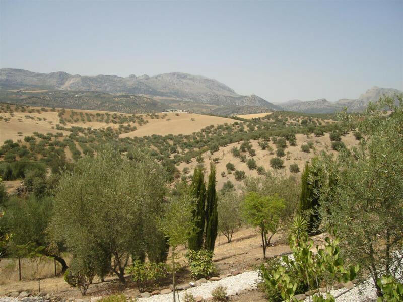 Detached Villa Colmenar Málaga - imagen 6