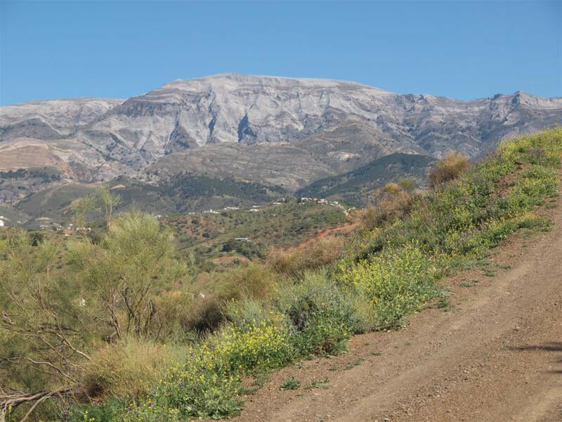 Finca - Cortijo Sedella Málaga - imagen 7