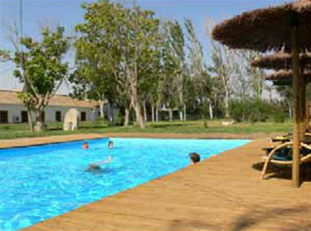 Finca - Cortijo Jerez de la Frontera Cádiz - imagen 7