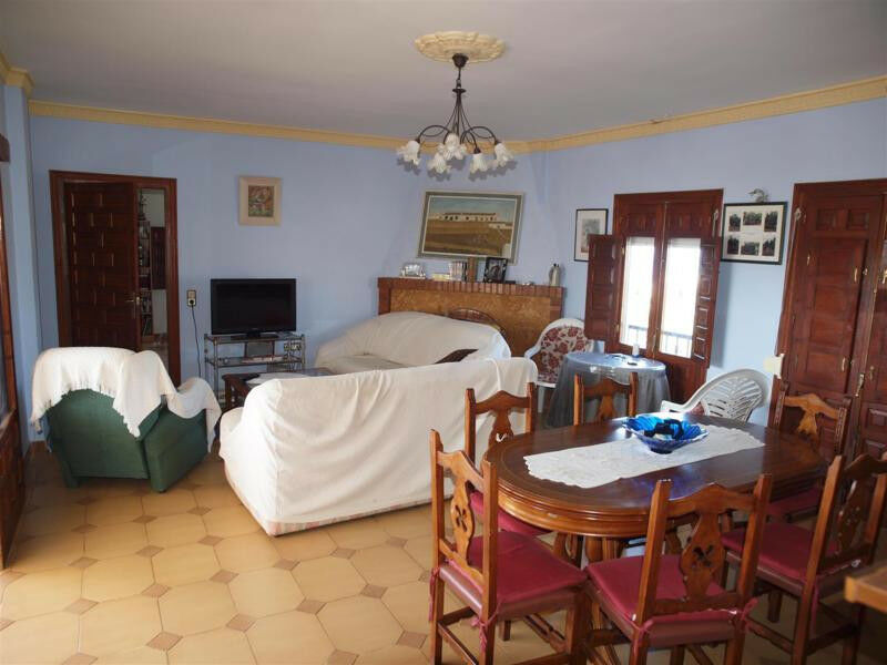 Detached Villa Mezquitilla Málaga - imagen 7