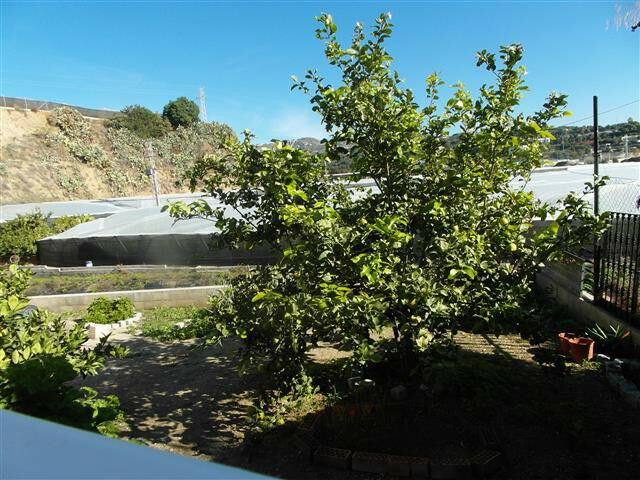 Detached Villa Algarrobo Málaga - Bild 7
