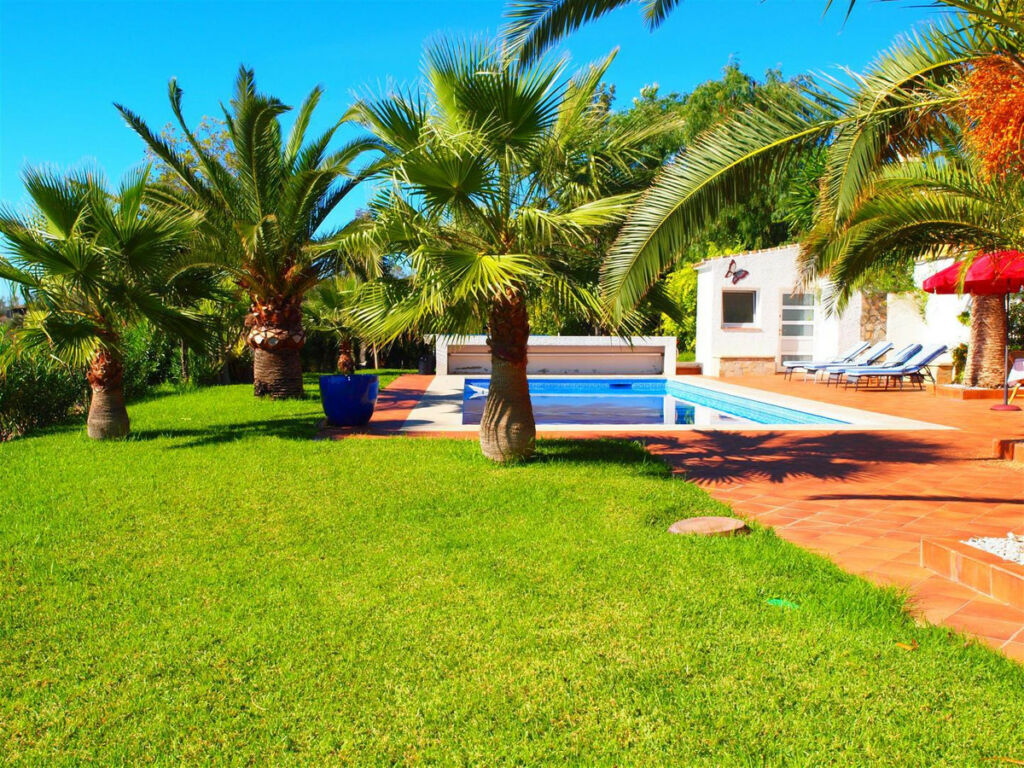 Finca - Cortijo Algarrobo Málaga - imagen 7