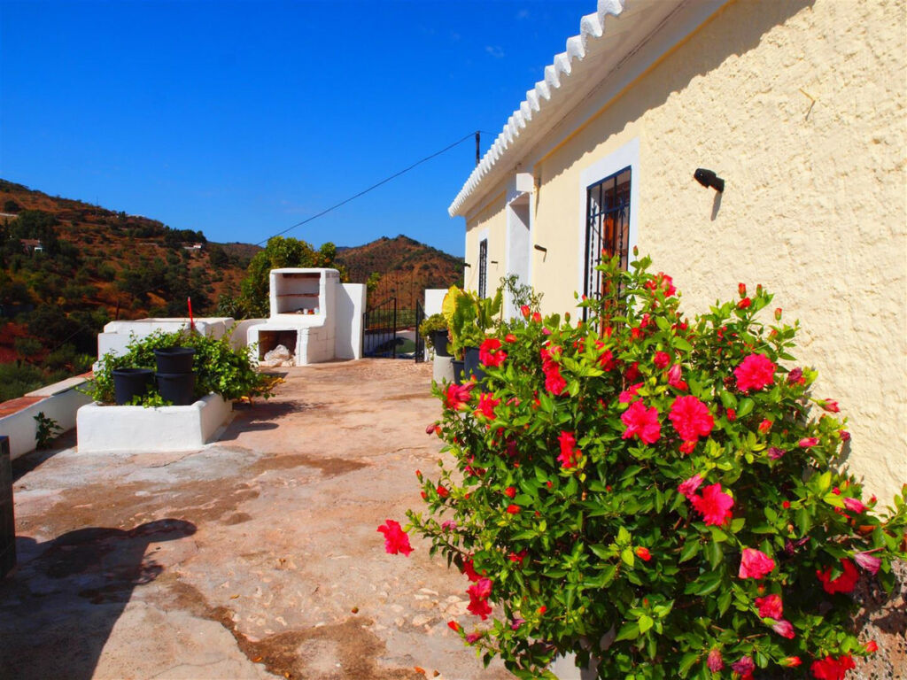 Finca - Cortijo Comares Málaga - imagen 7